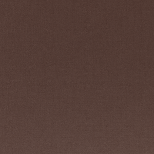 Cacaoyer